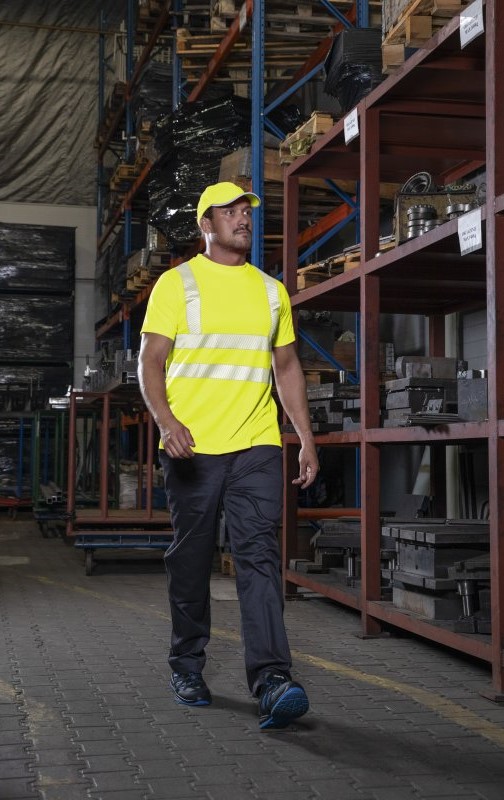 Siqnal Polo Koynek - Hogert JURAL II - Sari K952