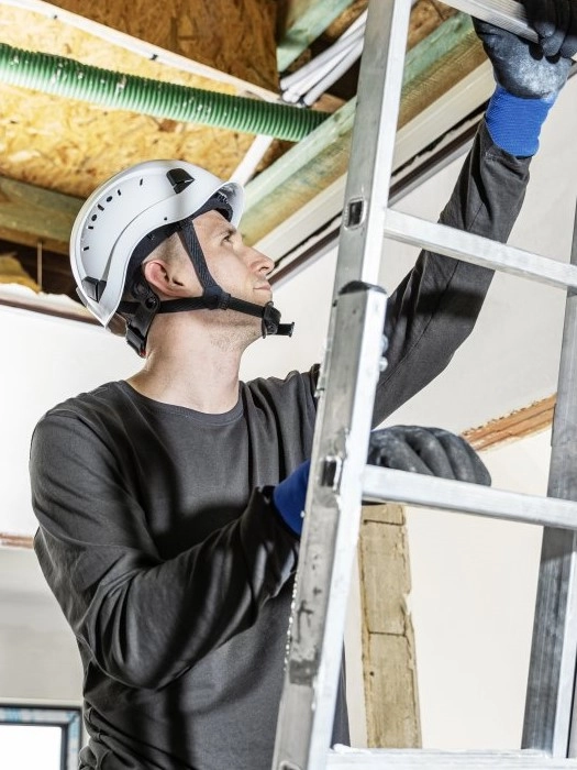 Debilqe - Hogert DIEMEL - K197