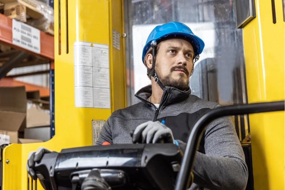 Debilqe - Hogert PLONER - K195 Goy